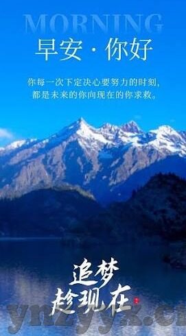 工程伦理典型案例-工程伦理的实践与反思，典型案例的深度剖析